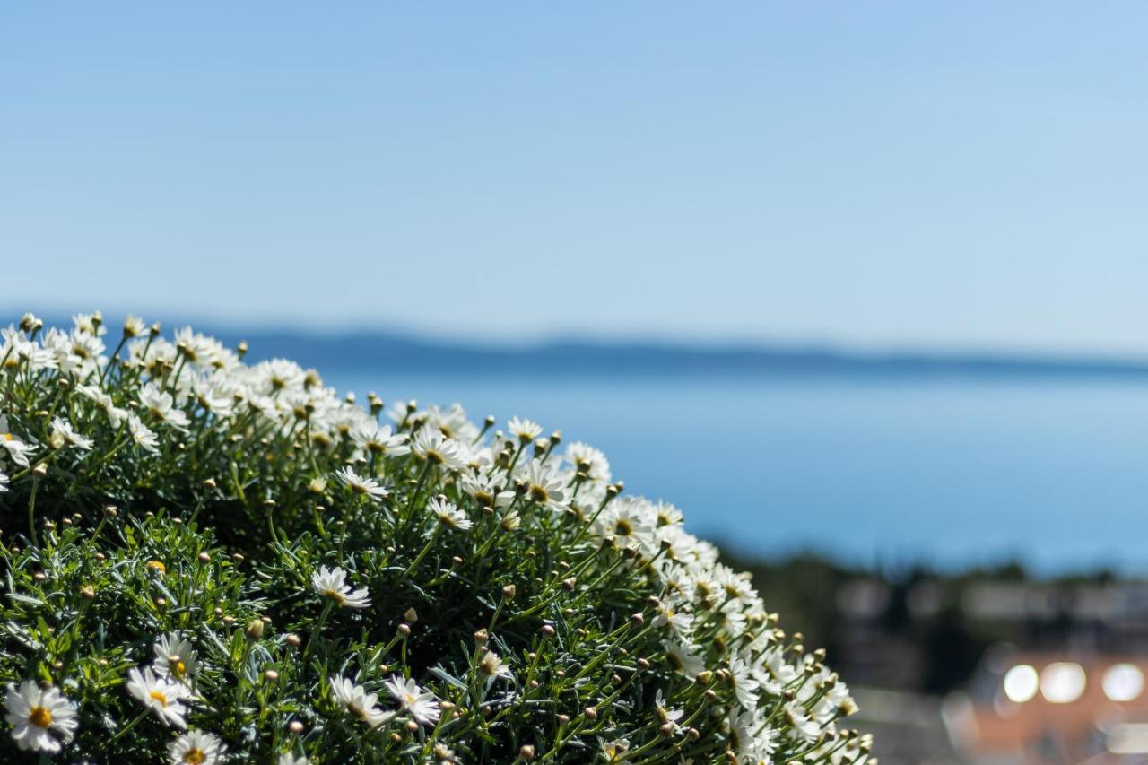Apartment Horizon スプリト エクステリア 写真